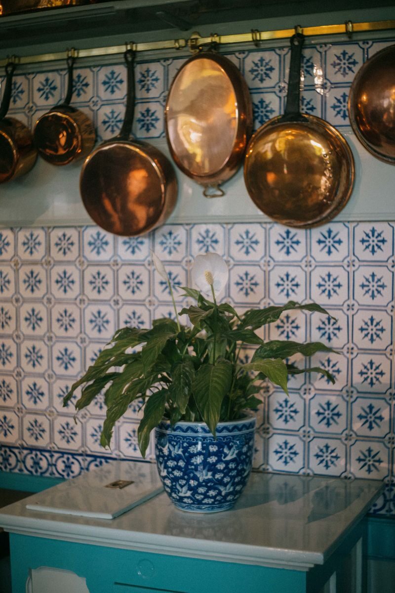 Charming kitchen decor featuring hanging copper pots and patterned blue tiles with a potted plant.