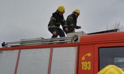 Požar kod Bovanskog jezera: Tri vikendice uništene, vatrogasci i dalje gase šumu