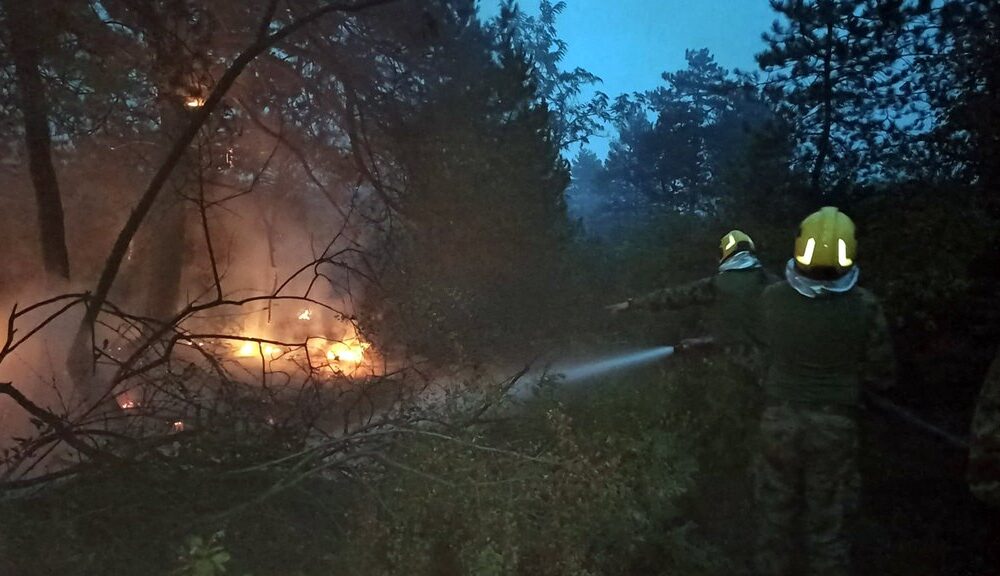 Požar u Deliblatskoj peščari: Helikopteri stižu, naselja i dalje bezbedna