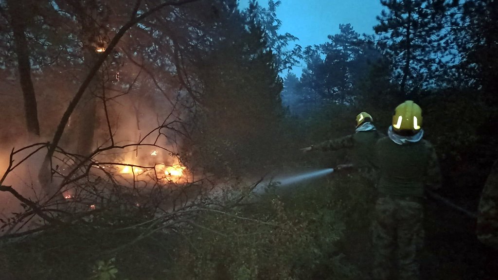 Požar u Deliblatskoj peščari: Helikopteri stižu, naselja i dalje bezbedna