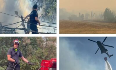Požari u Srbiji: Najteže u Deliblatskoj peščari i na Stolovima, helikopteri u akciji