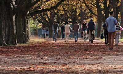 autumn, park, outdoors, nature, trees, atmosphere, season, autumn, park, park, park, park, park