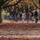 autumn, park, outdoors, nature, trees, atmosphere, season, autumn, park, park, park, park, park