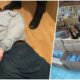 Dragan priznao šverc 5 tona marihuane: Otkriveni detalji sa jastucima i korama za torte (VIDEO) – šverc marihuane iz Makedonije u Srbiju