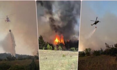 Vatra u Deliblatskoj peščari i dalje gori: Žarišta pod kontrolom, ali dim se vidi kilometrima – požar u Deliblatskoj peščari