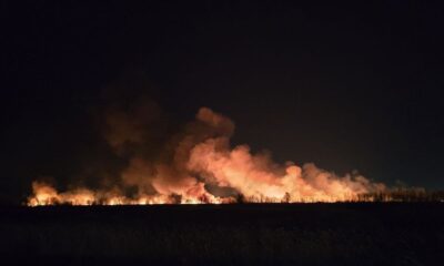 Novi požar kod Kladova: Vatra preti kućama, nebo obojeno narandžasto