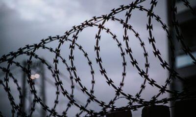 Palestinski Amerikanac se vraća u Zapadnu obalu da zaštiti svoj dom od izraelskih naseljenika – Palestinski Amerikanac Zapadna obala