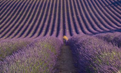 Hejli Biber otkriva svoju strast prema luksuznim francuskim parfemima – Hejli Biber parfem
