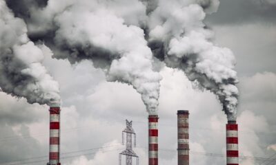 Industrijski izvoz Rusije porastao 5,25 odsto, agroizvoz dostigao 20 milijardi dolara