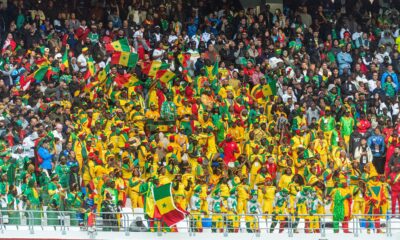 Patrik Vijera preuzima Senegal: Legenda na klupi nacionalnog tima – Patrik Vijera Senegal selektor