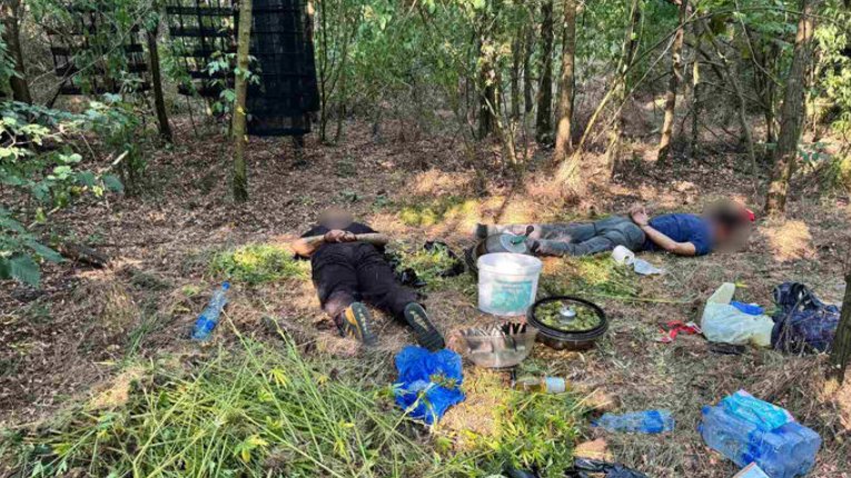 Policija otkrila laboratoriju kod Grocke: Uhapšeni tokom obrade marihuane – laboratorija za uzgoj marihuane