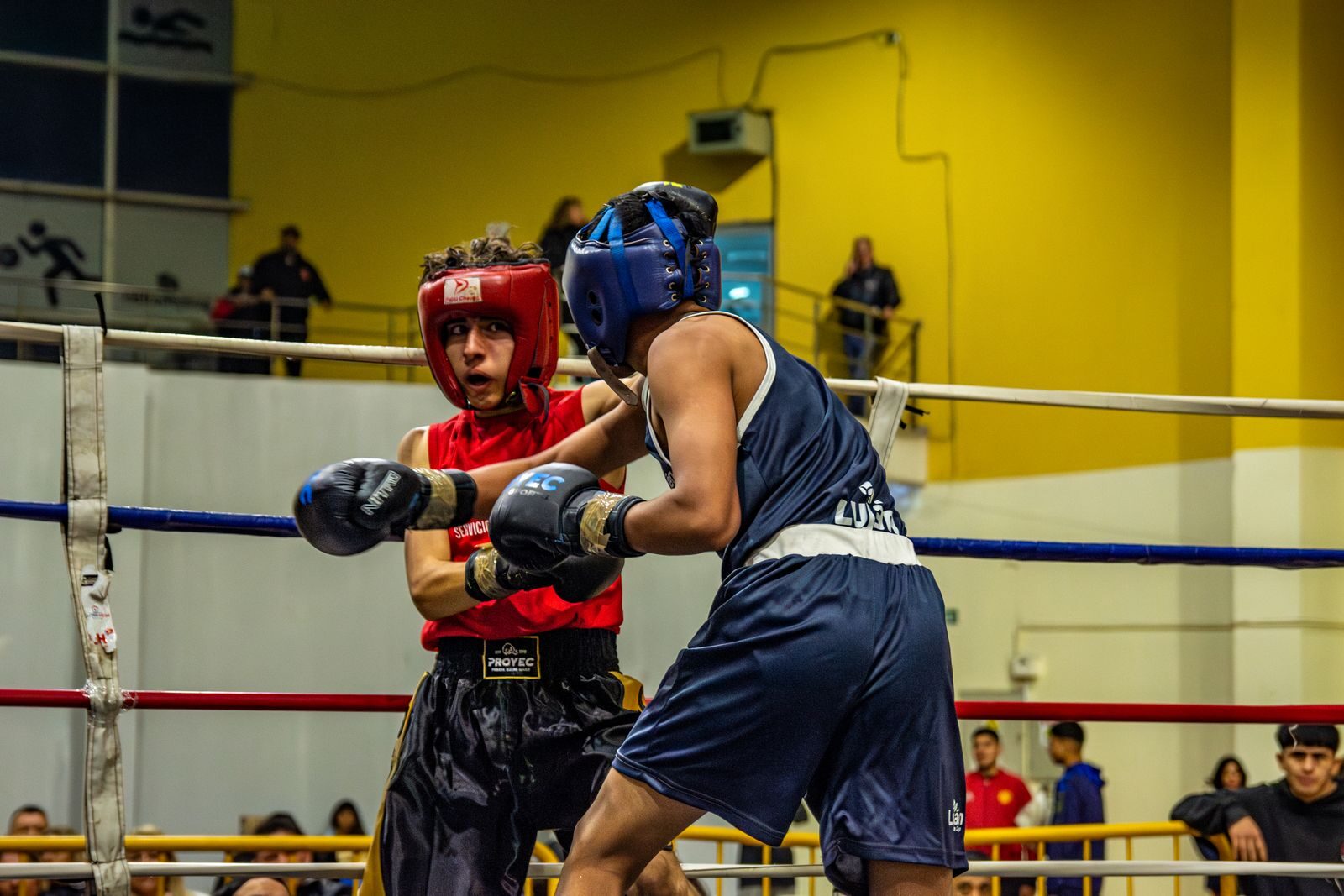 Two athletes engaged in a competitive boxing match, showcasing skill and determination.