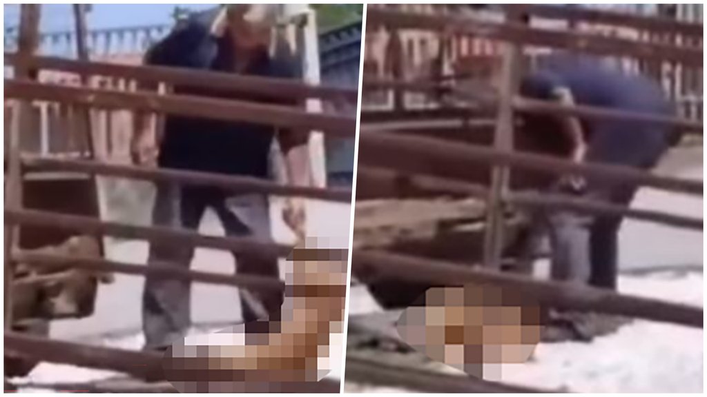 Radnik pečenjare u Mladenovcu motkom usmrtio pse: Objekat zatvoren nakon incidenta – napad u Mladenovcu