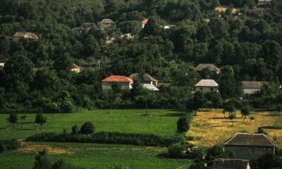 A picturesque village nestled among verdant hills and dense forests, showcasing rural beauty.