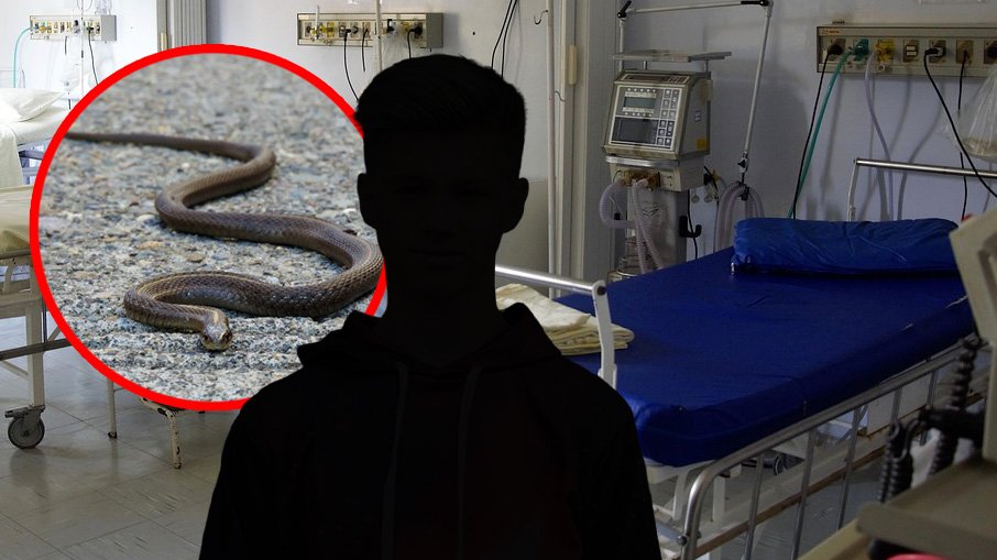 Dečaka u kampu u Istri ugrizao poskok, dete stabilno nakon brze reakcije – ujed poskoka u Istri