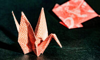 Robert Lang: Od fizike do origamija, put preporoda kroz papir (VIDEO) – Robert Lang origami