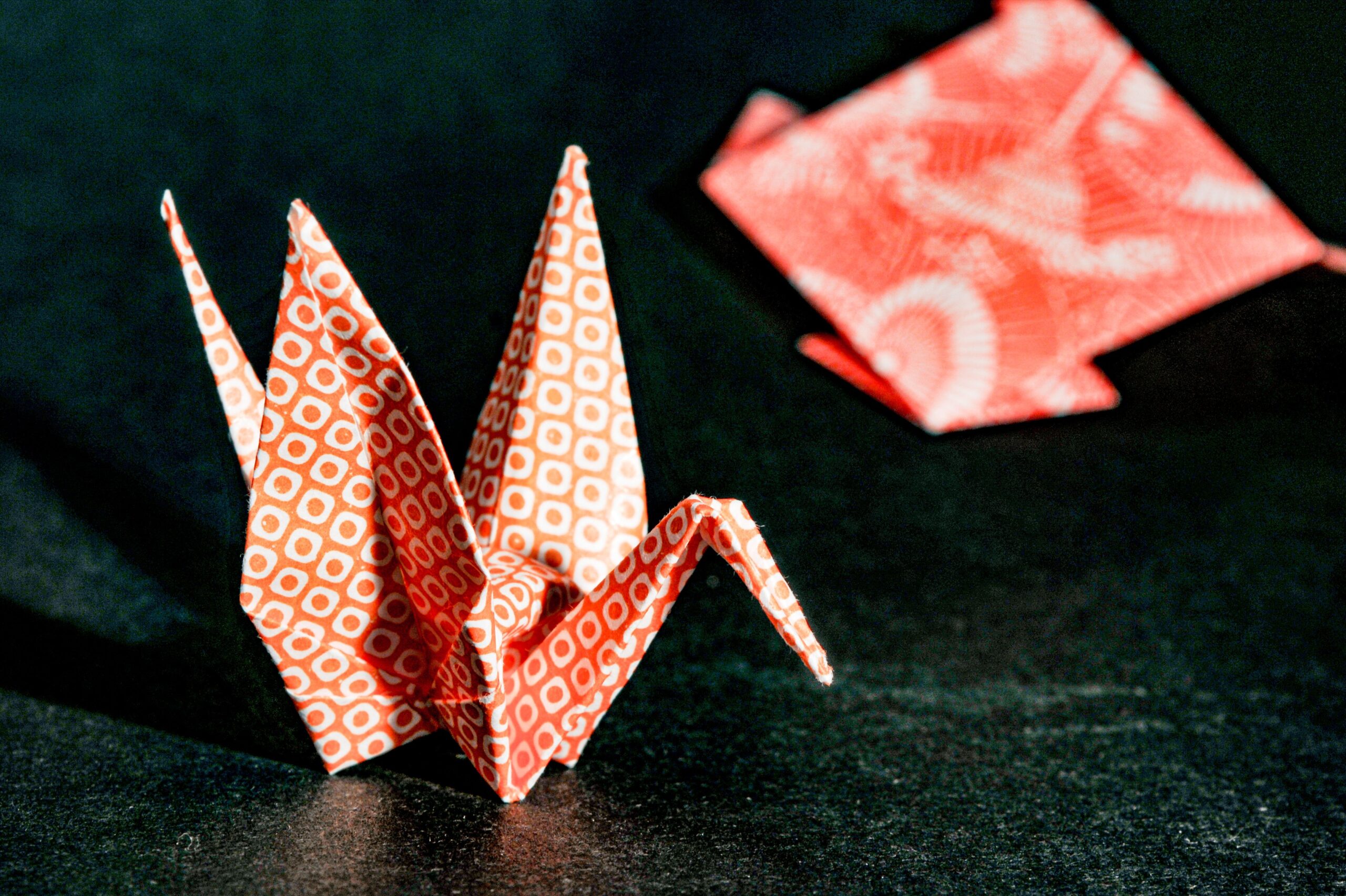 Robert Lang: Od fizike do origamija, put preporoda kroz papir (VIDEO) – Robert Lang origami
