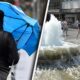 Toplotni talasi u Srbiji donose visoke temperature i nagle promene vremena
