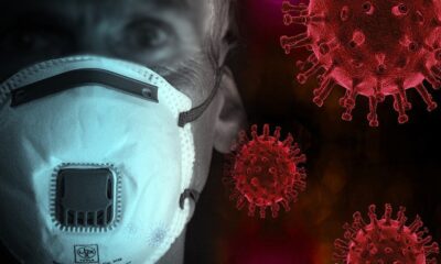 Virus Zapadnog Nila u Srbiji: Kako prepoznati simptome posle ujeda komarca