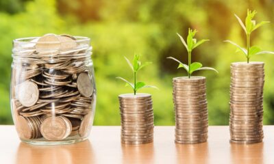 Adval Capital investirao u 49% udela niške kompanije DMV, izlazak na 90 tržišta – Adval Capital investicija