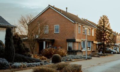 Brick houses lining a quiet street in the Netherlands, Missouri, USA, under a clear sky.