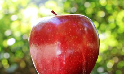 Apple M6 čip naspram M5: Koliko je brži novi čip kompanije Apple – M6 čip u odnosu na M5