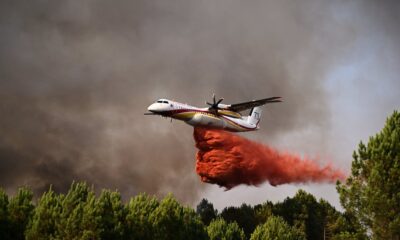 Požar na planini Goč: Vatrogasci na terenu, rad na gašenju u toku
