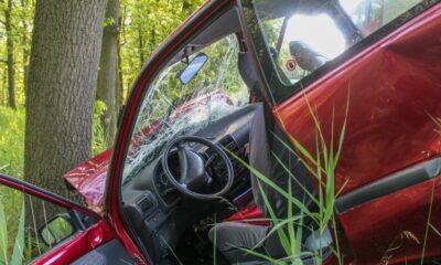 Tragedija na putu kod Aleksinca: Mladić stradao udarivši automobilom u drvo – saobraćajna nesreća kod Aleksinca