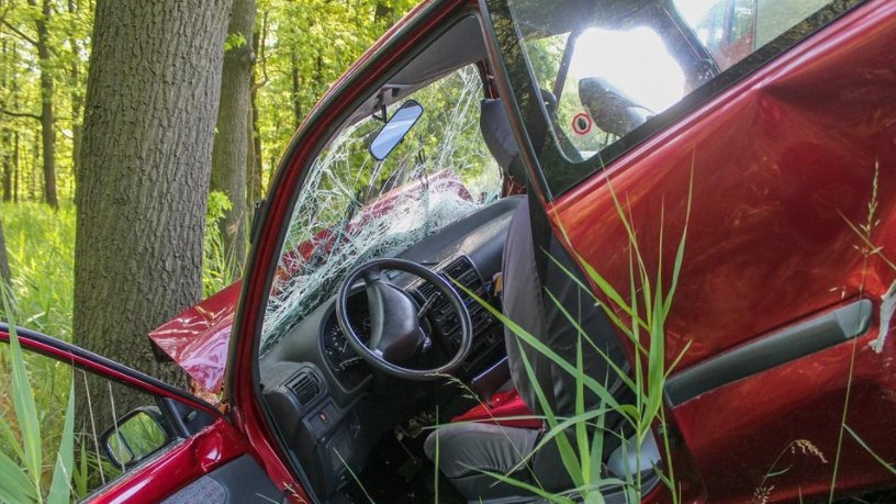 Tragedija na putu kod Aleksinca: Mladić stradao udarivši automobilom u drvo – saobraćajna nesreća kod Aleksinca