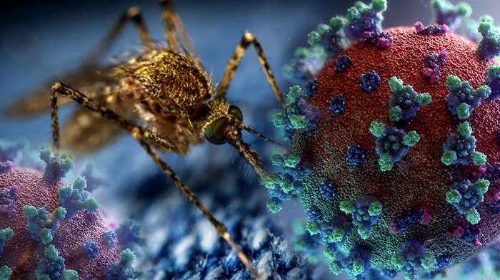 Virus Zapadnog Nila potvrđen u Hrvatskoj, raste broj zaraženih širom Evrope