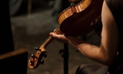 A close-up of a violinist playing during a concert, showcasing musical elegance.