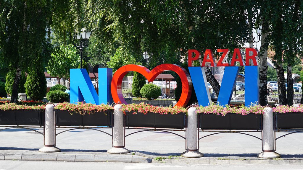 Drama u Novom Pazaru: Građani hladili automobil dok je dete čekalo pomoć – dete u užarenom automobilu u Novom Pazaru