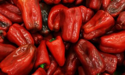 Pečenje paprika u gradu: Šta kažu pravila i koje su moguće kazne