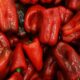 Pečenje paprika u gradu: Šta kažu pravila i koje su moguće kazne