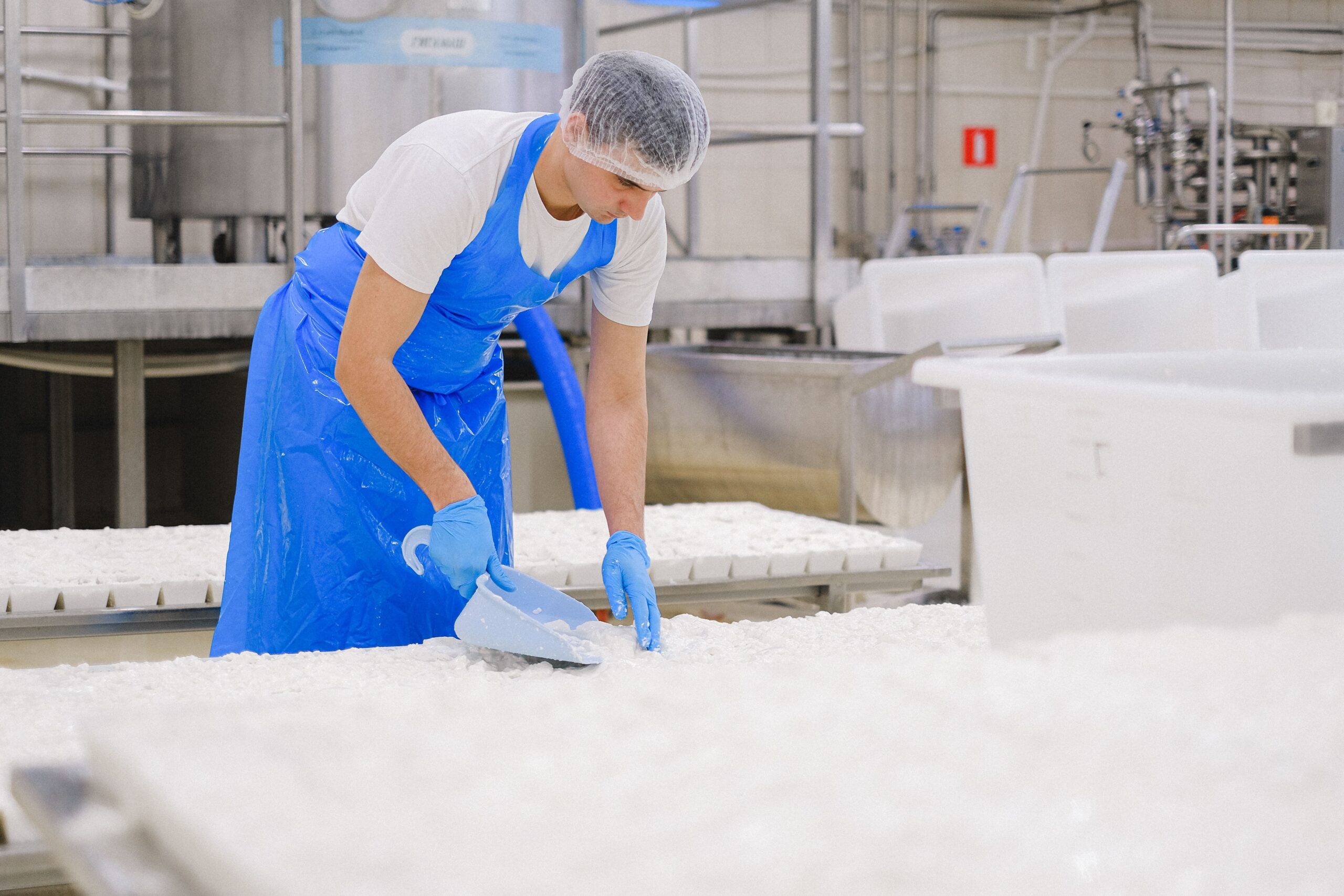 Milk House ulaže u zelene tehnologije i prerađuje 100.000 litara mleka dnevno – zelene tehnologije u mlečnoj industriji