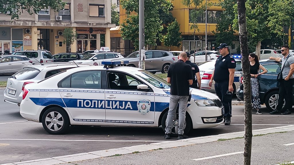 Kamion zaustavljen kod Novog Pazara: Pronađeno više od 10 kg droge – zaplena droge u Novom Pazaru