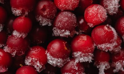 Poređenje nutritivne vrednosti svežeg, sušenog i zamrznutog voća pokazuje ključne razlike – poređenje nutritivne vrednosti voća