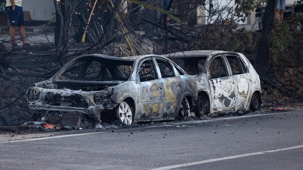 Požar na parkingu u Novom Sadu: Četiri vozila zahvaćena vatrom tokom noći