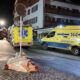Pucnjava na rejv žurci u Švajcarskoj: Jedna osoba ubijena, više ranjenih