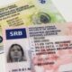 Važenje vozačke i saobraćajne dozvole za put u inostranstvo: Šta je zaista potrebno da znate
