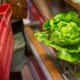 Seckana salata iz prodavnice može biti rizična za zdravlje