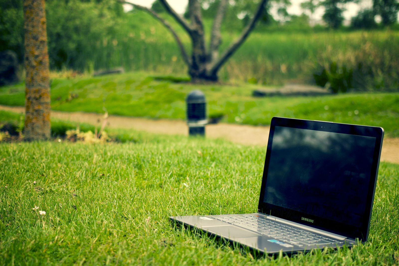 Laptop placed on green grass in a park setting, ideal for remote work and digital nomad lifestyle.