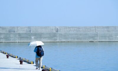 A solitary figure with umbrella walks along a sunny pier beside calm blue waters.