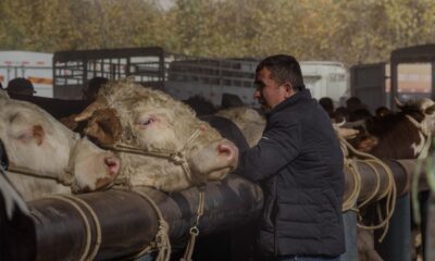 Šumadijski sajam poljoprivrede okuplja proizvođače od 3. septembra u Kragujevcu