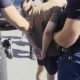 Uhapšen muškarac u Sremskoj Mitrovici: Zaplenjeno 180 kg marihuane i kokain – zaplena droge u Sremskoj Mitrovici