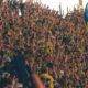 Villarreal broji više od 19.000 vernih navijača: Stadion Cerámica sada veći i moderniji