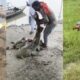 Pojava misterioznih riba u Biharu posle poplava iz Nepala izazvala zabrinutost – misteriozne ribe u Biharu