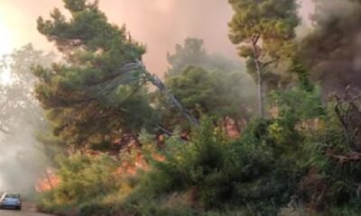Požar na Cetinju zahvatio nepristupačan teren, meštani i vatrogasci brane kuće