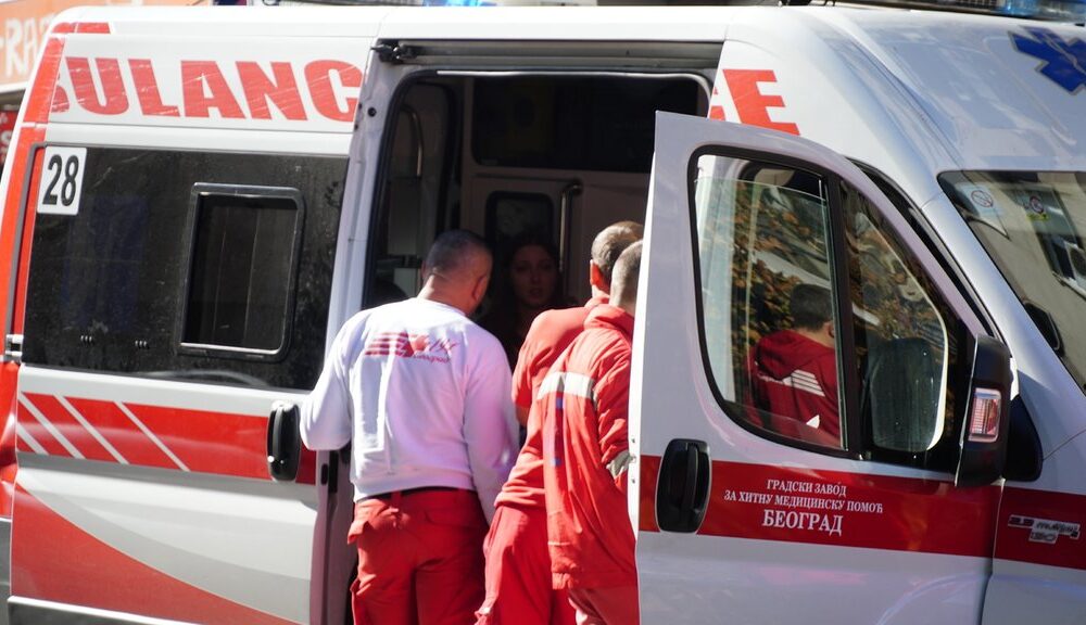 Povređeni na rođendanu u Košutnjaku: Drvo palo na izletnike tokom slavlja – nezgoda u Košutnjaku