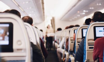 Zmija izašla iz prtljaga tokom leta iznad Italije, karabinjeri blokirali avion po sletanju – zmija iz prtljaga u avionu